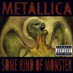 Metallica : Some Kind of Monster